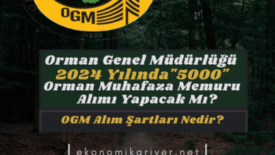 ogm personel alımı 2024
