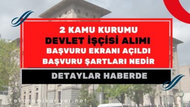 kamu kurumu devlet işçisi