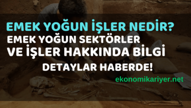 emek yoğun işler