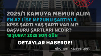 2025 kamu alımı