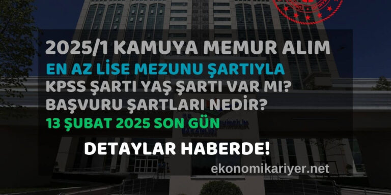 2025 kamu alımı