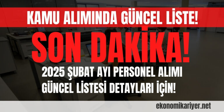 kamu alımları